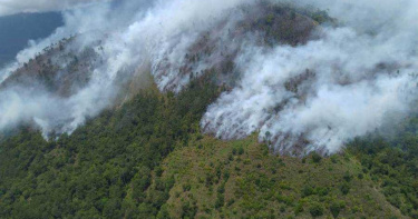 武陵農場對面山火燒中 上午已搶投45噸水撲滅