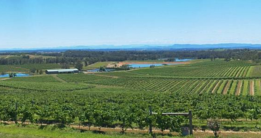 澳大利亞新南威爾斯州（New South Wales）亨特谷（Hunter Valley）。（圖／翻攝自維基百科）