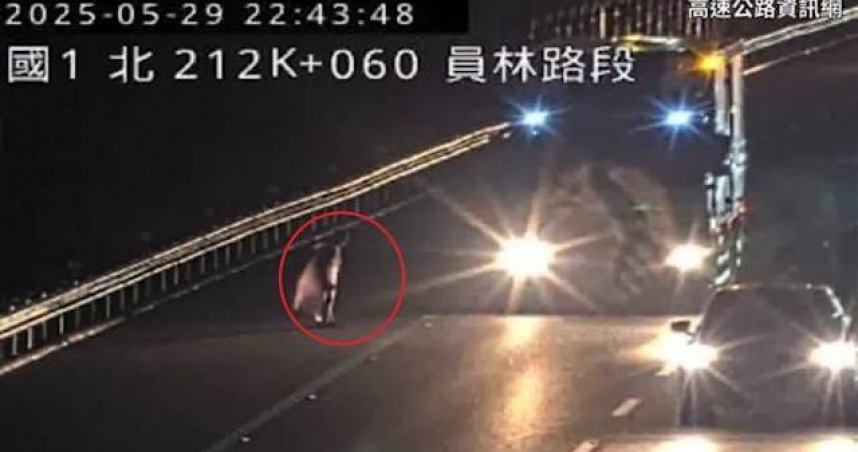 男子因不明原因走上國道，在路肩遭3車連撞身亡。（圖/翻攝畫面）