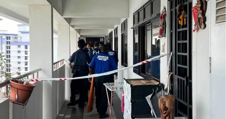 新加坡一名養女為爭奪產權，持18公分菜刀狂砍養父致死，法院判處18年有期徒刑。（圖／翻攝自8視界新聞網）