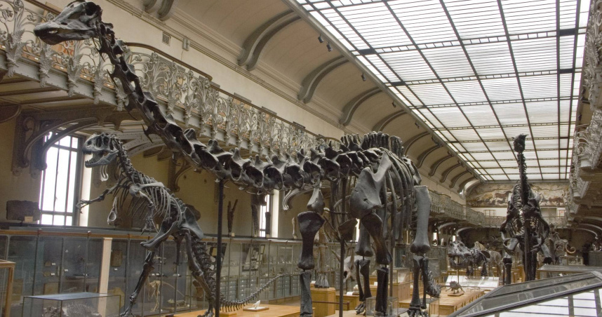 巴黎自然歷史博物館也傳出在9月中旬遭竊，損失近6公斤珍貴原生黃金。（示意圖／翻攝自臉書，Muséum national d'Histoire naturelle）