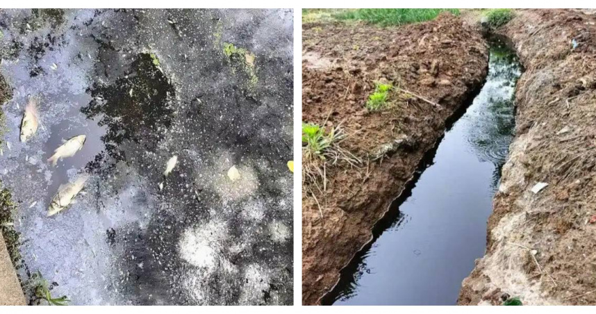 大陸湖北黃土坡村近年爆出大量癌症與白血病病例，村民懷疑與村內化工廠污染有關。（圖／翻攝自大象新聞，下同）