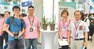 等到花兒都謝了 農委會牛步審核不開放白色文心蘭授權種植