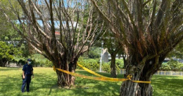 中年男子手腳佈滿刀傷 倒臥北市舊兒童樂園無生命跡象