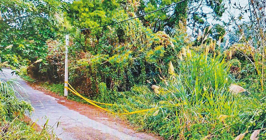 2022年底，苗栗山區發生活埋命案，警方在後龍山區路邊草叢，往內走20公尺發現陳姓死者遺體。（圖／報系資料照）