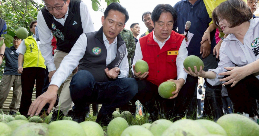 總統賴清德前往台南，與立委郭國文、林俊憲及賴惠員等人查看文旦等作物的災損情況。（圖／翻攝自林俊憲臉書）