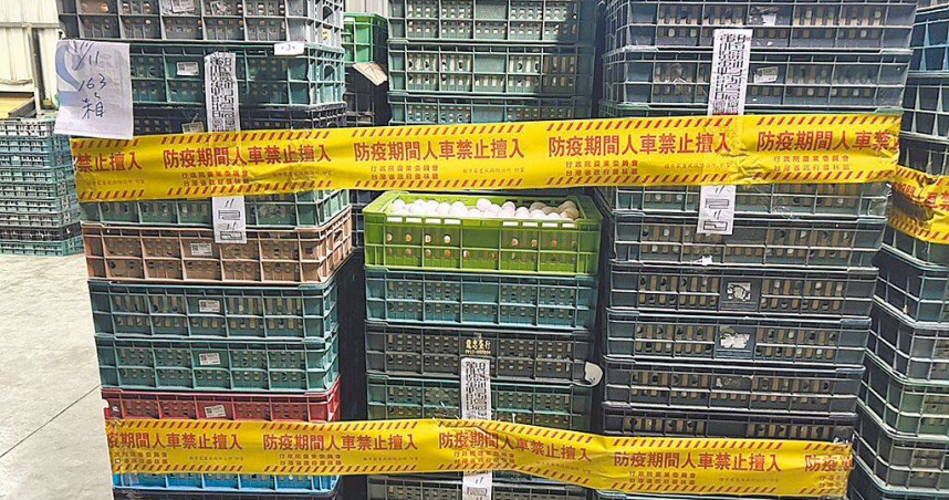 彰化縣文雅畜牧場複檢後仍有檢體檢出芬普尼代謝物，彰化縣府啟動禁止移動與封存管制措施。（圖／彰化縣政府提供）