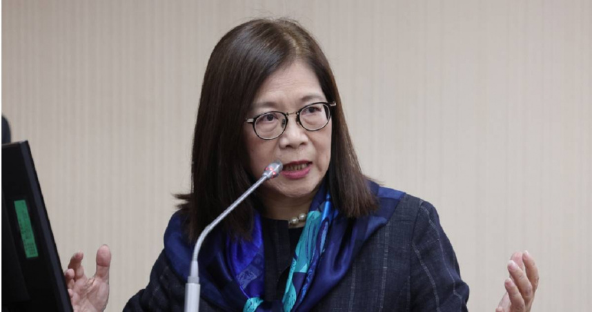 管碧玲表示，這就是台灣的外交、這就是我們的外交，「我們要看得懂，看得懂的人就懂，看不懂的人可能也是裝不懂」。（圖／報系資料庫）