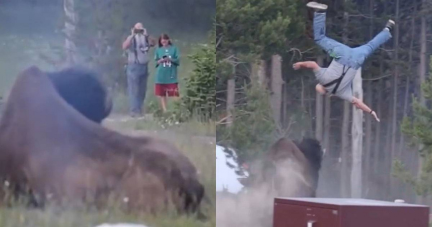 黃石國家公園（Yellowstone National Park）再度發生野牛攻擊遊客事件，男子被野牛牛角頂起拋飛。（圖／翻攝自X）
