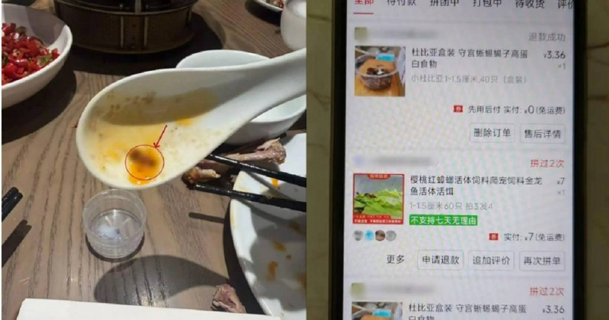 大陸西安3名男子攜帶活蟑螂去武漢多家餐廳吃飯，再偷偷把蟑螂放到菜中，以此方式吃霸王餐和索取賠償，最終遭識破，並被警方逮捕，依法刑事拘留。（圖／翻攝自微博／極目新聞）