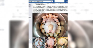 【邪術聲樂家3】社團義賣稱助貓 阿爾卑斯山雞湯一鍋9千9