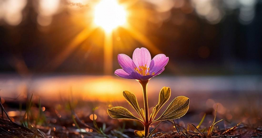 國際天星風水命理專家邱彥龍點出有7個星座，在春分期間運勢非常好。（示意圖／Pixabay）