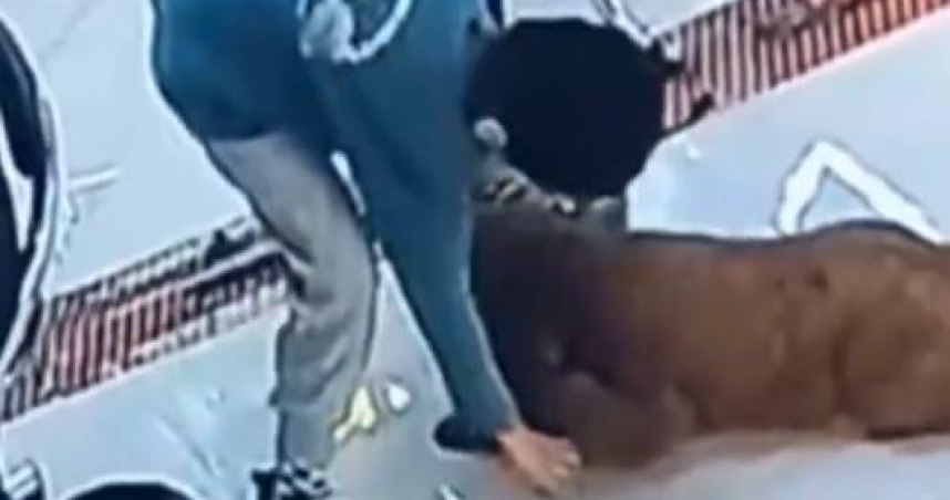 湖南一名男童逗弄小狗，結果被咬傷手指。（圖／翻攝自微博）