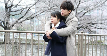 《戀愛》完結篇收視衝新高 佐藤健推倒女方榮登網友最愛