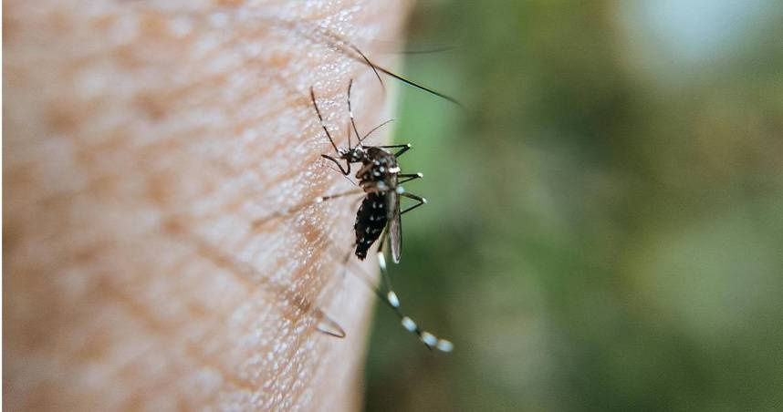 大陸廣東爆發屈公病疫情，確診病例近7千例。（示意圖／翻攝自Pexels）