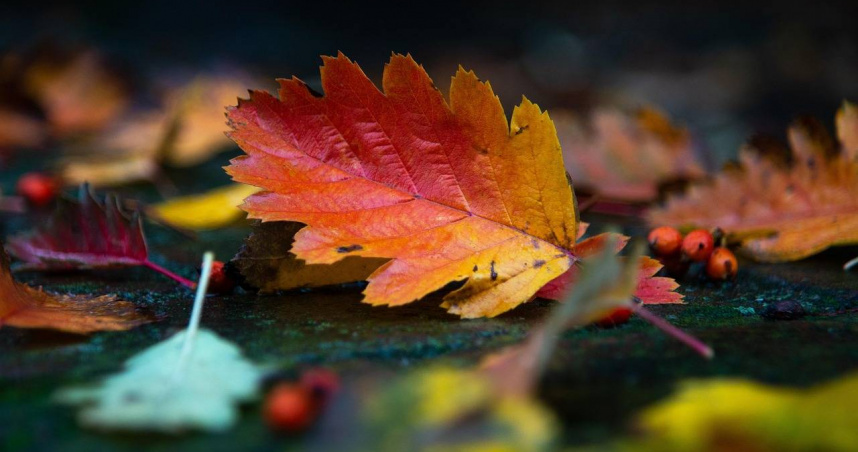 （示意圖／pixabay）