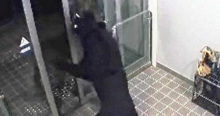 秋田發生野熊傷人事件，甚至還闖入住家內不走。（圖／翻攝自社群平台X @@livedoornews）