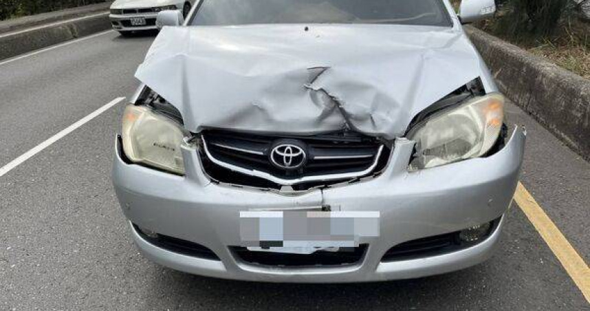 彰化外環驚魂車禍駕駛撞鹿傻眼牠竟站起逃逸。（圖 ／翻攝畫面）