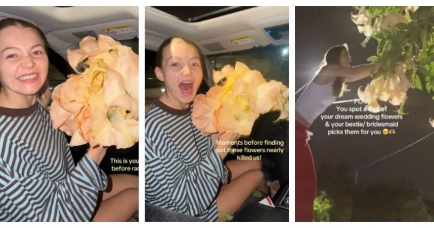 澳洲準新娘麥迪森．麥格林（Madison Mcglinn）與好友在雪梨街頭摘下喇叭狀花朵並拍攝影片，事後才發現該植物可能具有毒性。（圖／翻攝自TikTok，Madison Mcglinn）