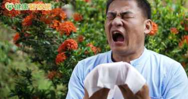 台灣過敏人口多　環境濕氣與季節過敏原是關鍵　