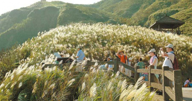 淡蘭古道官網上線 行程安排輕鬆搞定