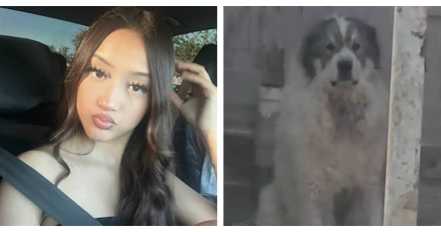 加州17歲少女赫塔多晨跑時遭16隻大型犬攻擊，身受重傷，需縫合逾500針，至今仍無法自行行走。（圖／取自GoFundMe、ABC 7）