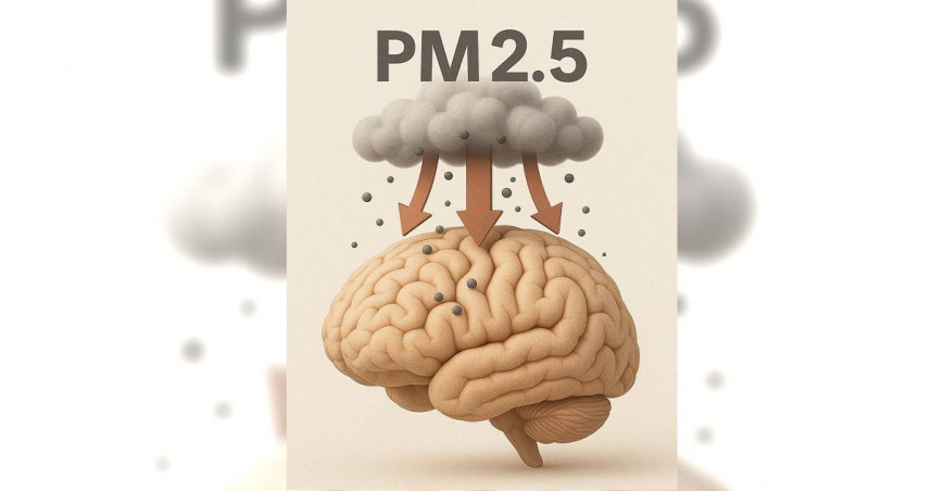 黃軒醫師解釋，PM2.5不僅傷害肺部，也會傷害大腦。（圖／翻攝自黃軒 FB）
