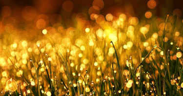 塔羅牌老師艾菲爾指出，水星逆行回天蠍座，有4個星座適合放慢腳步。（示意圖／Pixabay）