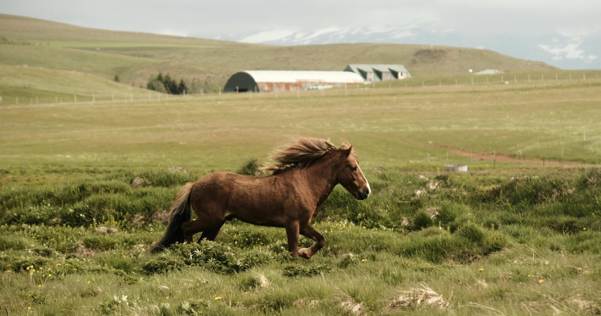 （示意圖／Pexels）
