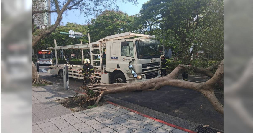 北市大安區敦化南路二段26日上午9時許發生一起拖吊車勾倒路樹事故。(圖／翻攝畫面)