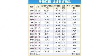 熱錢瘋狗浪來襲 追捧這15檔