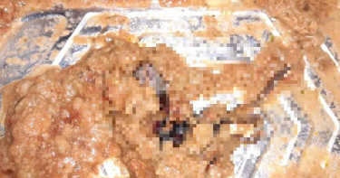 嚼硬塊以為骨頭!女低頭驚見「完整死老鼠」…狂嘔12hrs氣炸客訴