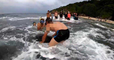玩夠沒?美人洞沙灘騷擾海龜 正義姐喝斥報警函送法辦