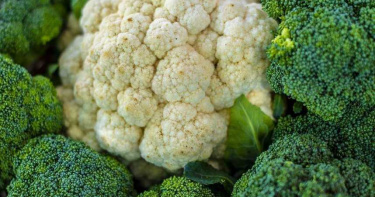青花菜比花椰菜營養?煮過後結果不一樣