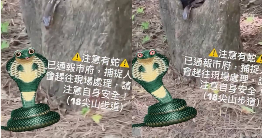 新竹市議員楊玲宜20日PO出18尖山有蛇，已通報捕抓人員，卻不被網友領情與網友筆戰。(圖／翻攝自楊玲宜Threads)