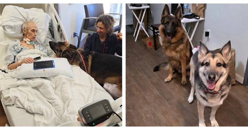 紐約男子史賓塞在醫院病床上與兩隻德國牧羊犬完成最後道別。（圖／翻攝自臉書，NYC Second Chance Rescue）