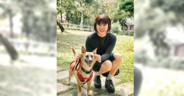 【寵物情緣】霸道愛犬求專一 張懷云視訊陪聊收服破壞王