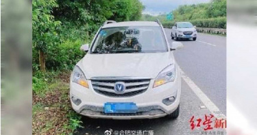 想吃虎頭蜂蛹…男車停路肩下車摘蜂巢 被盯滿頭包還遭警開罰