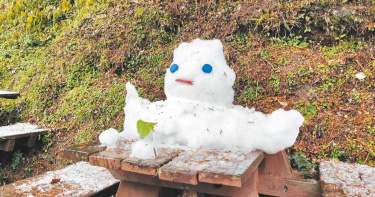 最長壽雪人!向陽遊樂區雪人 寒風中上班6天