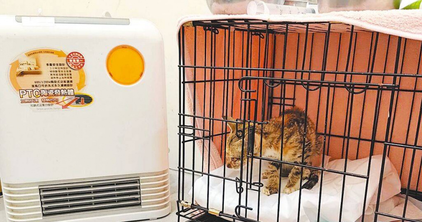 台北市動物之家因靠近河岸及山區更顯溼冷，照護人員準備毛巾、暖氣或電暖爐避免動物受寒。（圖／台北市動保處提供／中國時報張珈瑄台北傳真）