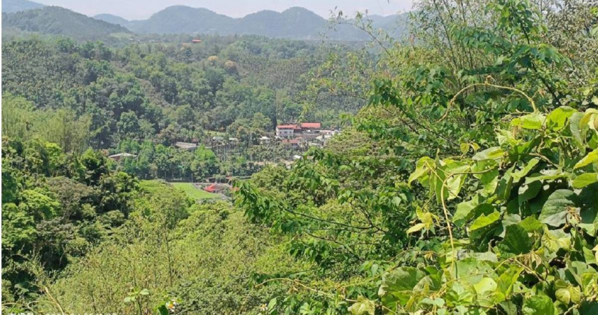 埔里鎮麒麟里鄰近仁愛鄉著正村、魚池鄉共和村的水源保育地將興建事業廢棄物掩埋場，掩埋物包括焚化爐飛灰固化物，引發居民不滿。（圖／民眾提供／中國時報記者楊靜茹南投傳真）