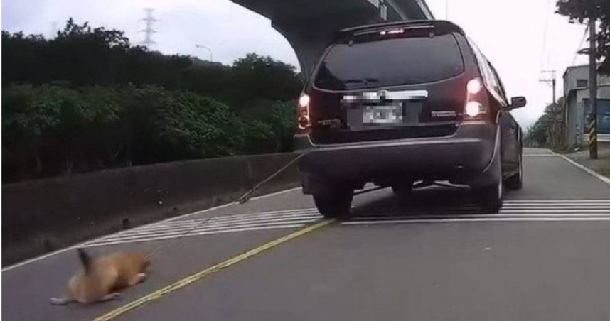今日，一名粗心飼主在駕車出行時，竟未注意自家養的小黃狗被家人綁在車後便開車上路，導致狗狗被一路拖行，四肢與腹部嚴重摩擦受傷，部分傷口甚至深可見骨。（圖／翻攝新北市政府動保處官網）