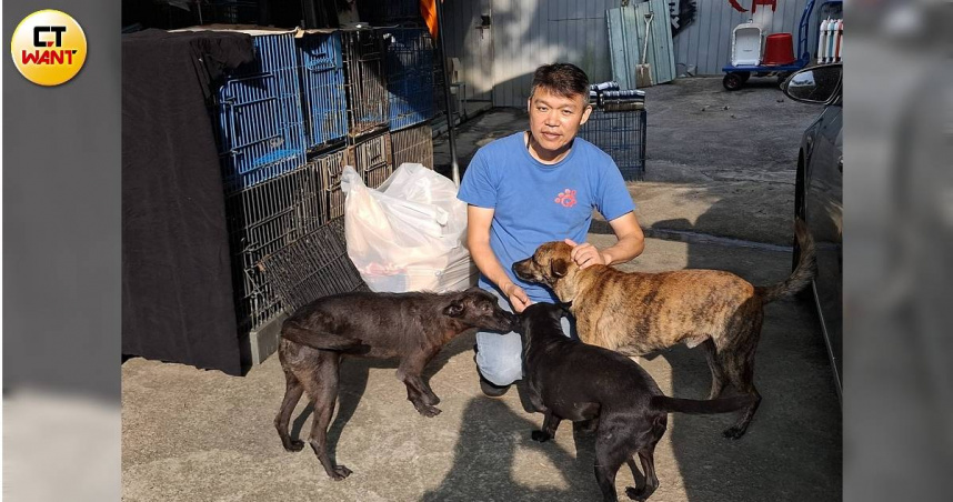 動野保團體互嗆1／愛媽怒轟假移除真撲殺　揭TNR、獵人大隊爭千萬資源