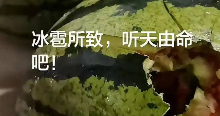 中國大陸河北省多地近日遭遇強對流天氣侵襲，多地陸續傳出農作物受損災情。（圖／翻攝自微博）
