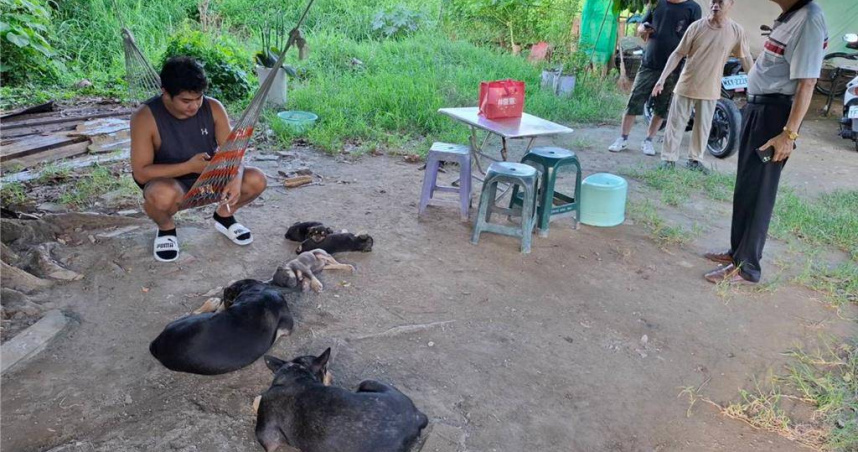 台南移工宿舍爆虐犬！幼犬癱瘓真相大逆轉　動保急帶回7犬追查