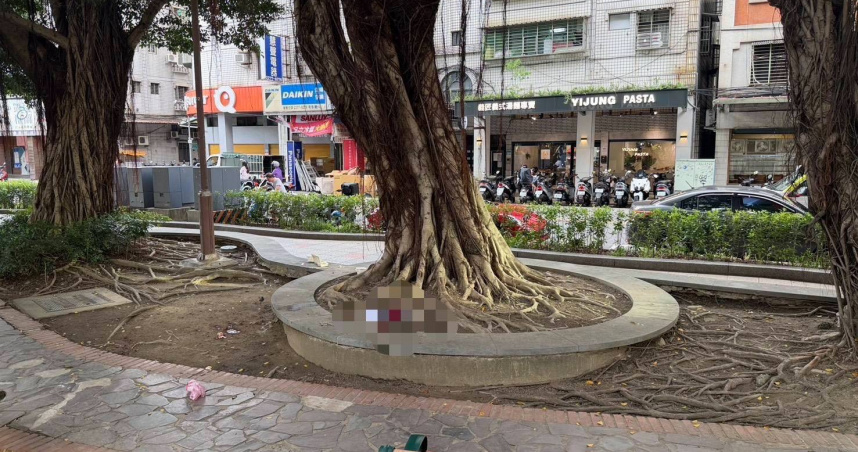新莊福壽公園16日下午發生攻擊案，男子胸口中刀被緊急送醫。（圖／翻攝畫面）