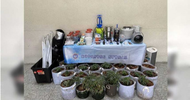 疫情影響毒品價攀高 搶當大麻自耕農桃園遭逮