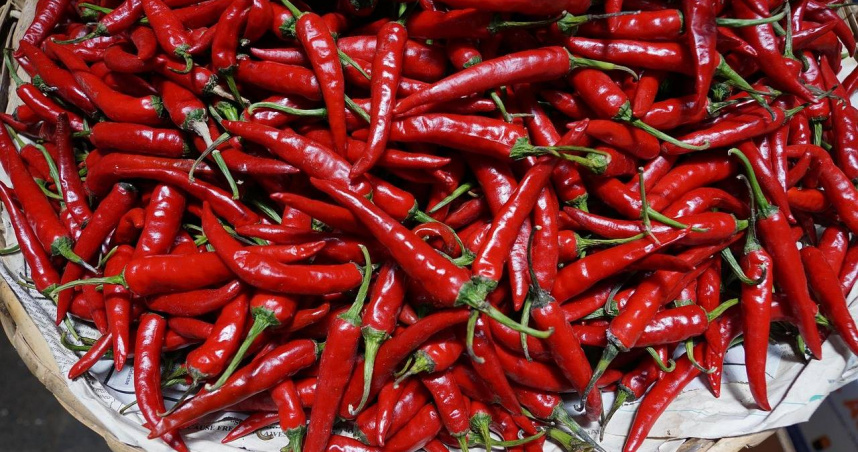 美國加州聖荷西一名神經科女醫師瓦莉婭（Harjasleen Walia）去餐廳吃飯吃一道泰國開胃菜，因為太辣竟燒傷口腔、食道和聲道，導致永久性損傷。但餐廳否認瓦莉婭的指控，但瓦莉婭已對餐廳開告求償。（示意圖／Pixabay）