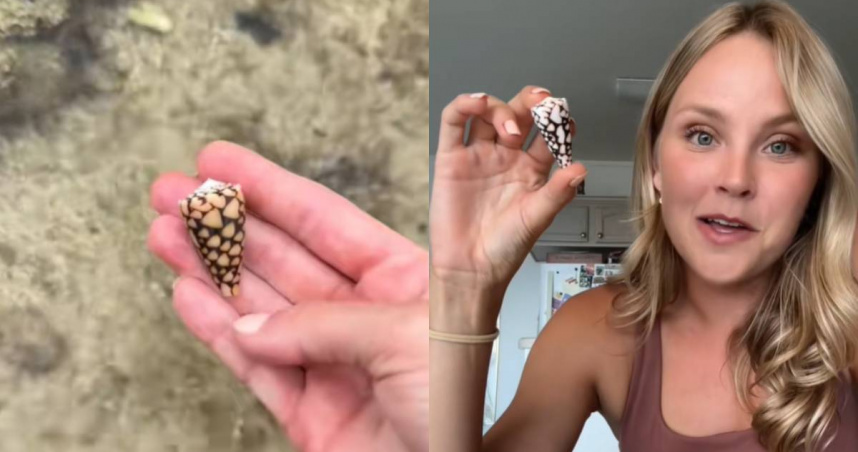 貝姬莉撿到具有神經劇毒的「芋螺」。（圖／翻攝自 TikTok／beckyleeinoki）