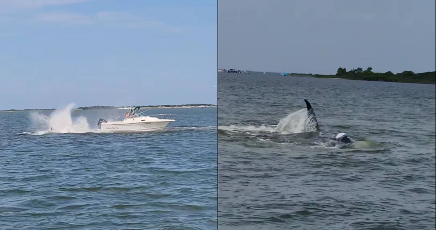 （圖／翻攝自FB）